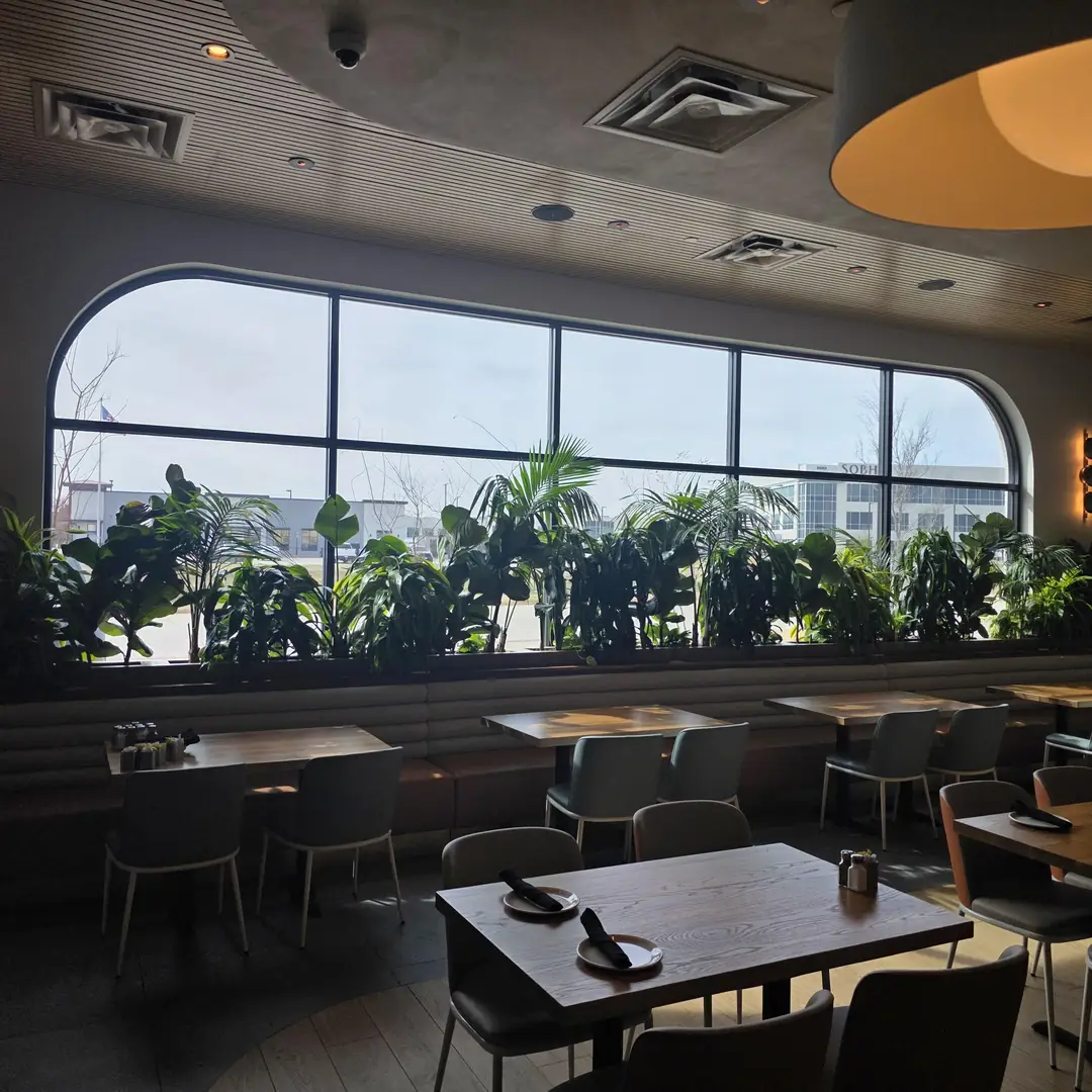 Gloria's Latin Cuisine Frisco restaurant arched window tropical plants solar film DFW